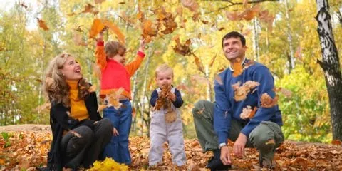 Affordable outdoor landscaping in Nicholasville, KY - Glynn Young's Landscaping & Nursery Center