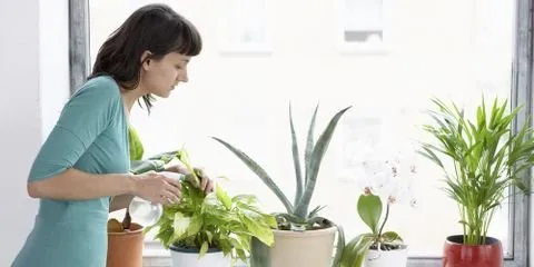 Expert landscape design in Nicholasville, KY - Glynn Young's Landscaping & Nursery Center