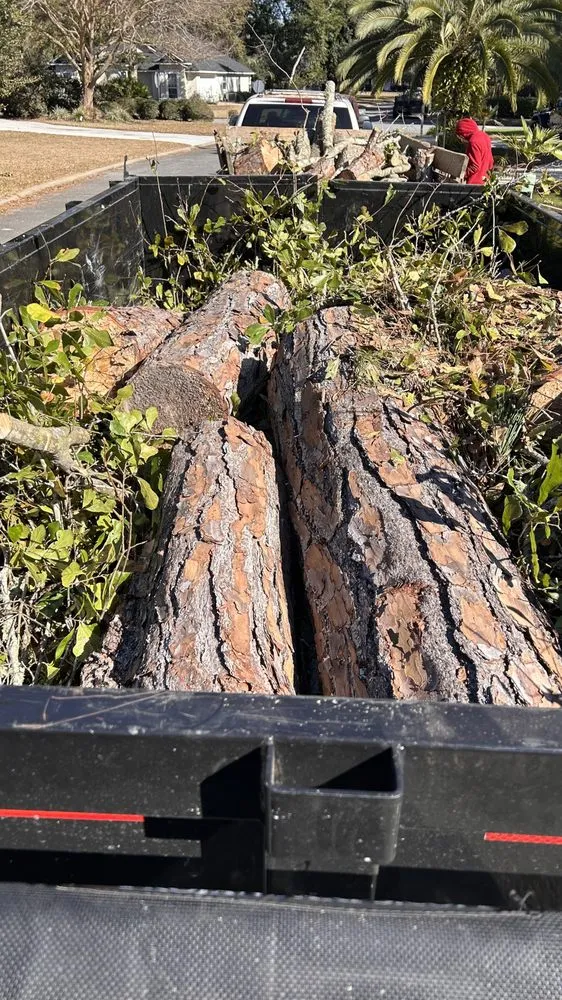 Expert yard cleanup service in St Marys, GA by Glyns Lawncare and More