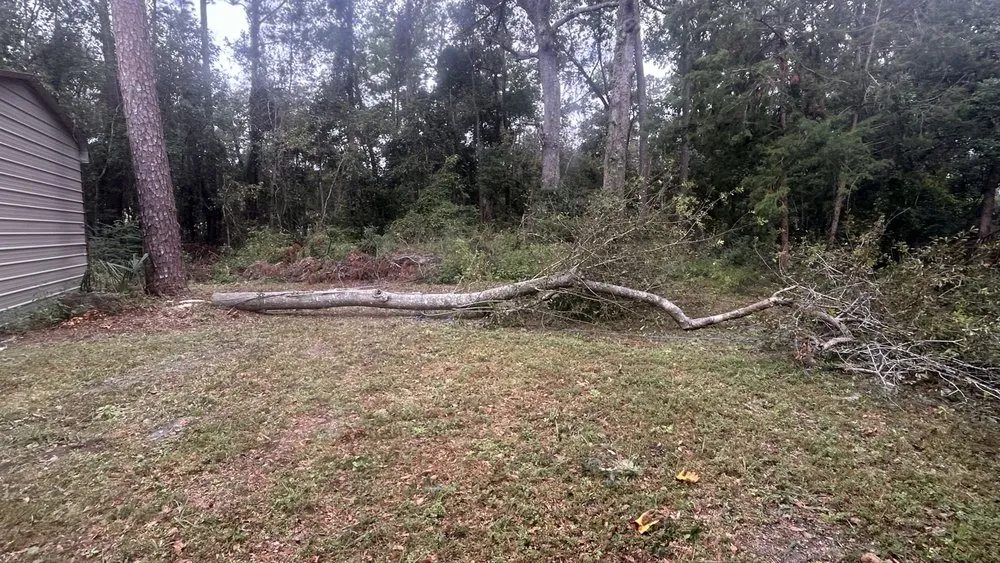 Custom yard cleanup service experts serving St Marys, GA - Glyns Lawncare and More