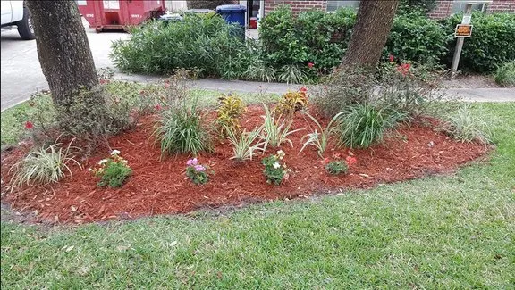 Professional yard cleanup service in Jacksonville, FL by GM & CA Landscaping
