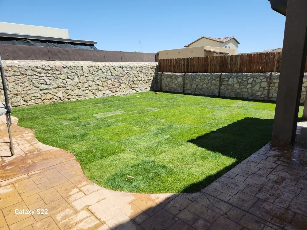 Custom yard maintenance for beautiful yards across El Paso, TX - Gm Customs