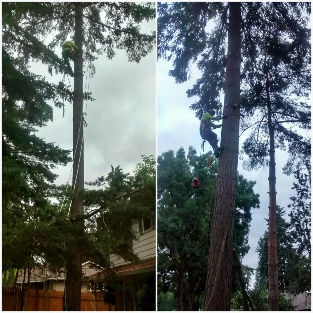 Custom outdoor landscaping in Newberg, OR - G&M Landscape Maintenance