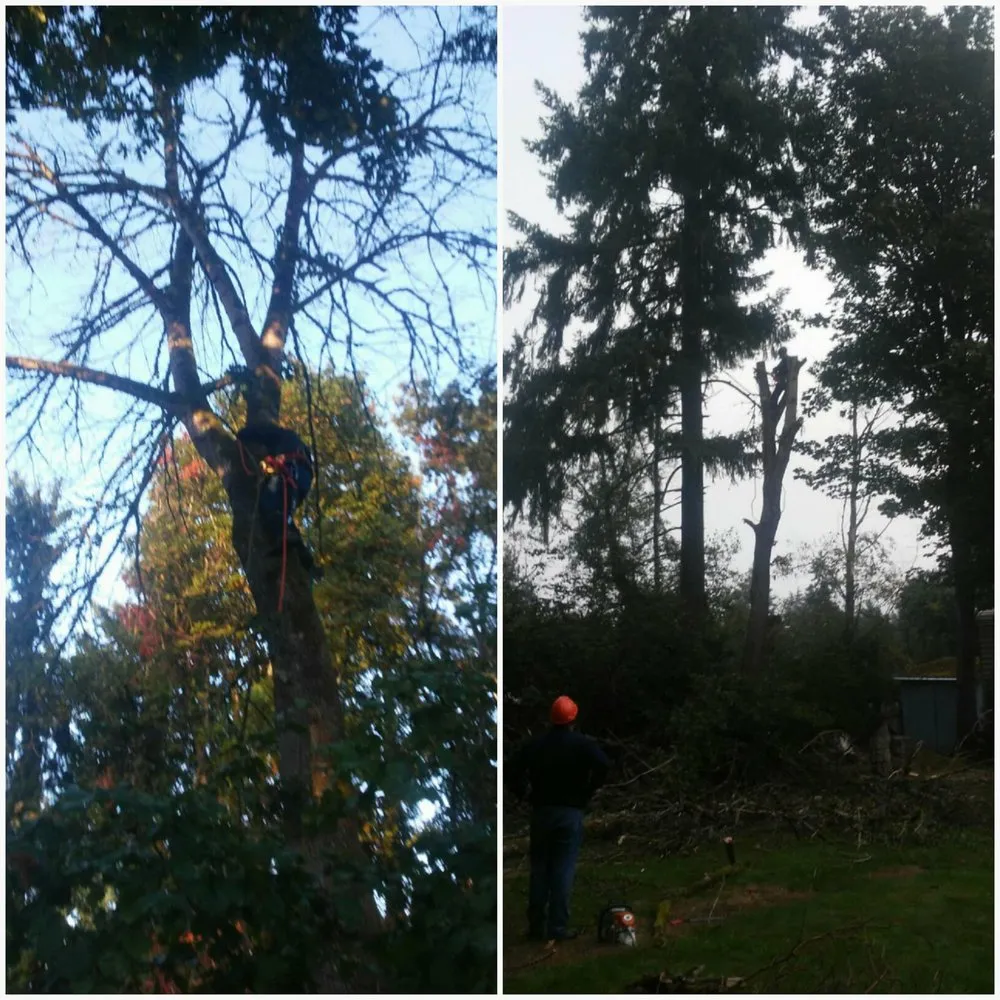 Reliable outdoor landscaping in Newberg, OR by G&M Landscape Maintenance