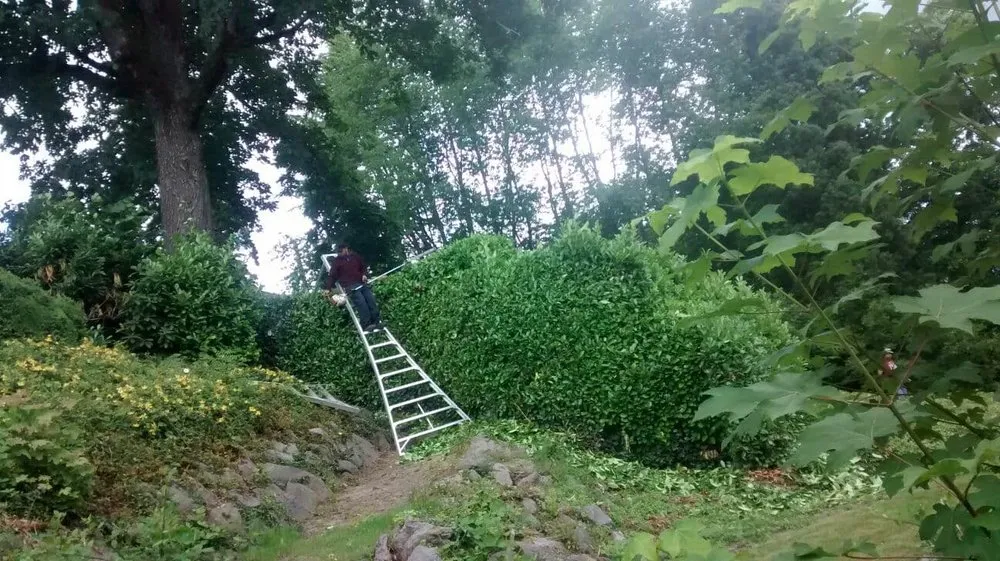 Trusted garden landscaping in Newberg, OR - G&M Landscape Maintenance