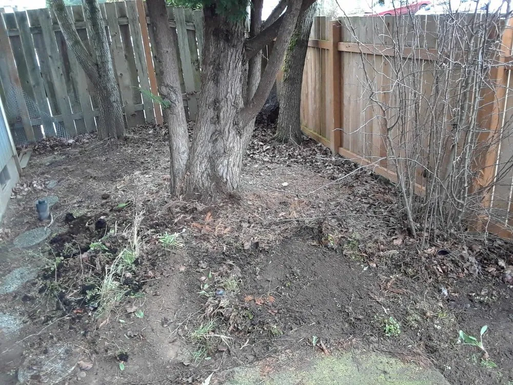 Professional yard cleanup service in Newberg, OR - G&M Landscape Maintenance