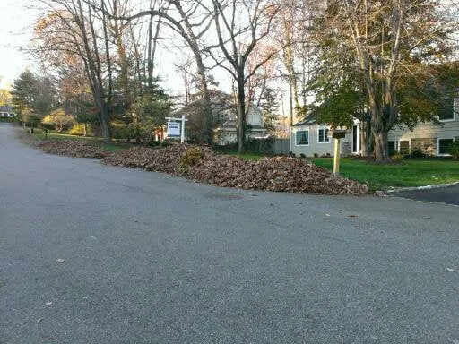 Trusted outdoor landscaping for year-round maintenance across Morristown, NJ - GM Landscape Service