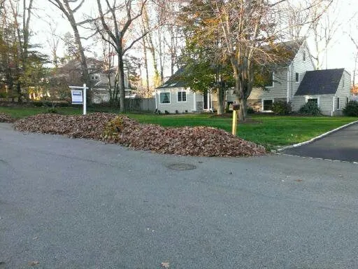 Expert yard cleanup service in Morristown, NJ by GM Landscape Service