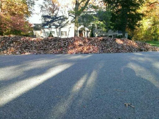 Trusted yard cleanup service experts serving Morristown, NJ - GM Landscape Service