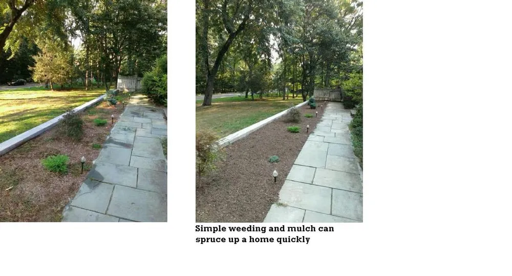 Trusted landscaping services in Morristown, NJ - GM Landscape Service