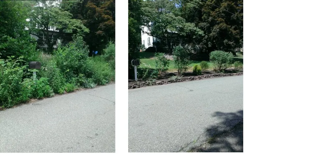 Professional yard maintenance near you in Morristown, NJ by GM Landscape Service