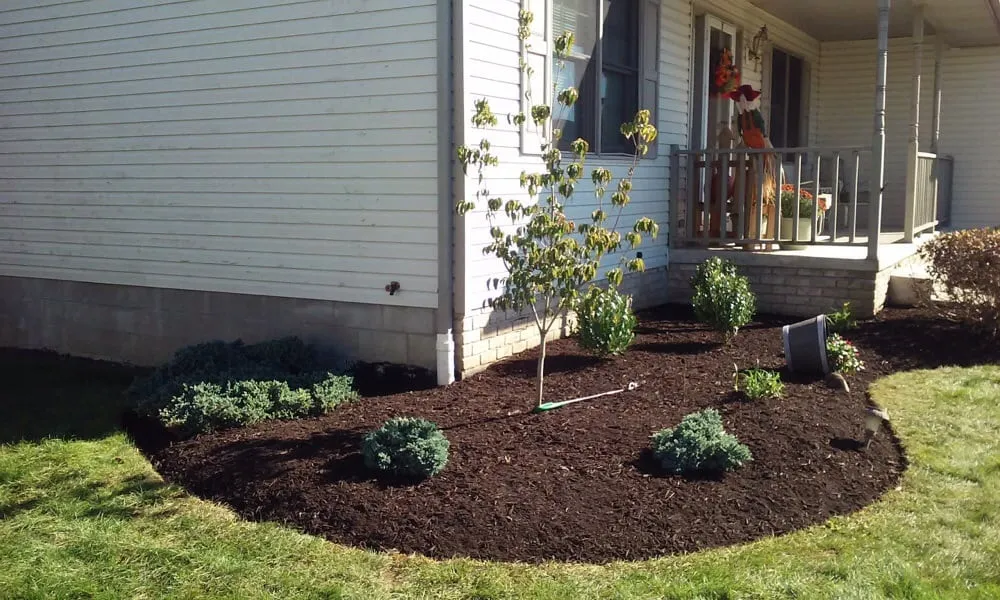 Affordable yard cleanup service with custom design across Navarre, OH - GM Landscapes