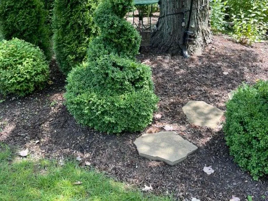 Local landscaping services for beautiful yards in Mayfield Heights, OH by GM Landscaping & Design