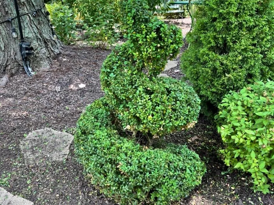 Top-rated landscape installation experts serving Mayfield Heights, OH - GM Landscaping & Design