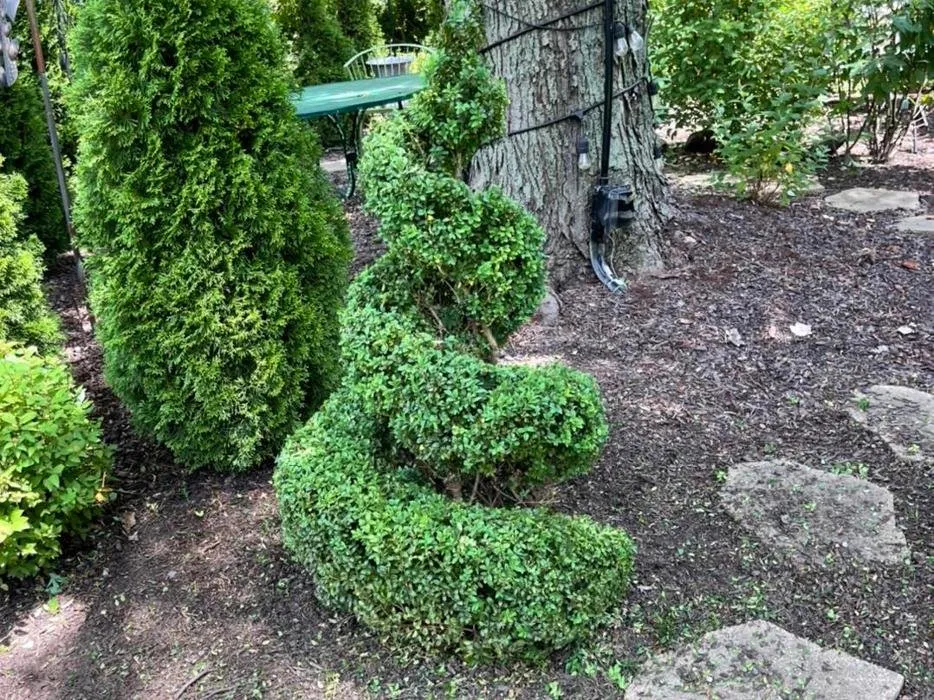 Affordable residential landscaping in Mayfield Heights, OH - GM Landscaping & Design