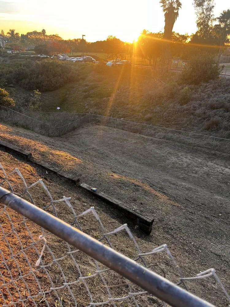 Affordable landscaping services in Vista, CA by GM Landscaping & Tree Service