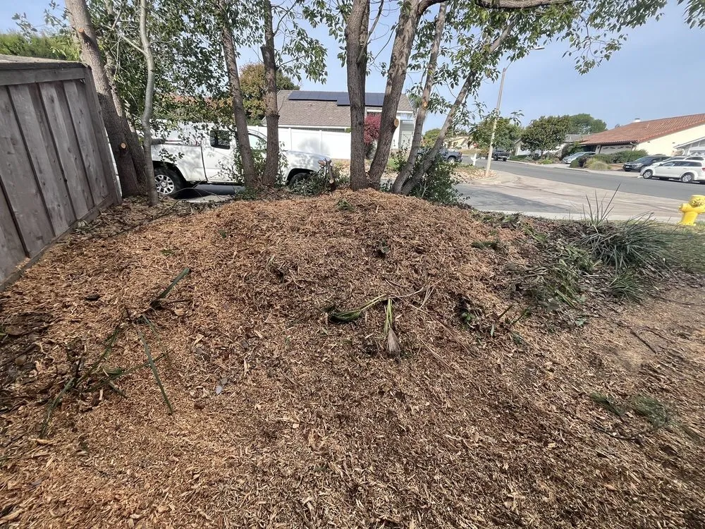 Reliable outdoor landscaping for homes across Vista, CA - GM Landscaping & Tree Service