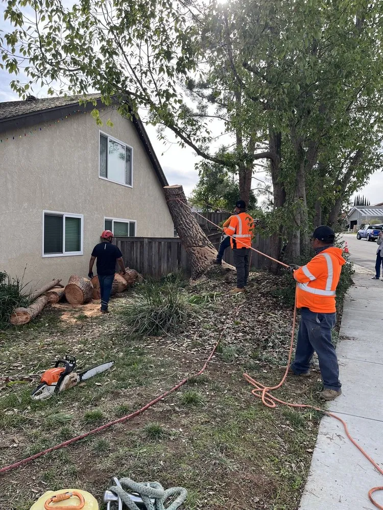 Trusted lawn mowing service with custom design in Vista, CA by GM Landscaping & Tree Service