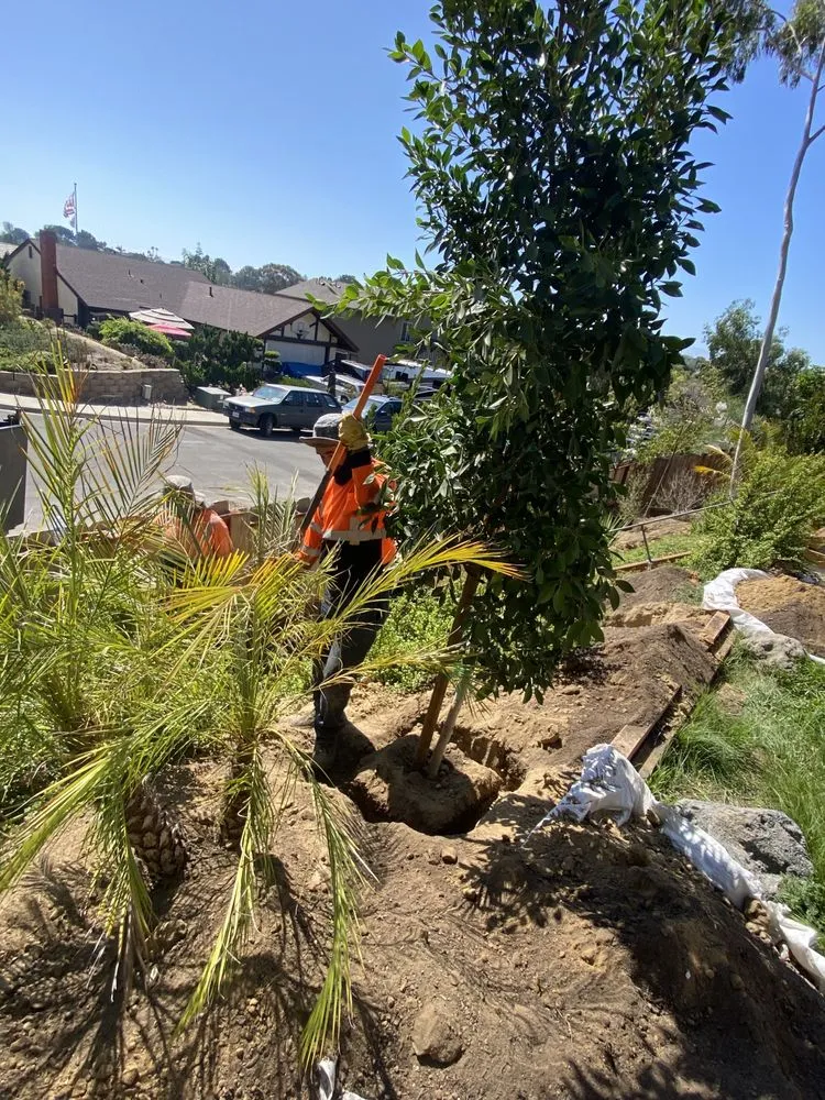 Reliable garden landscaping in Vista, CA - GM Landscaping & Tree Service