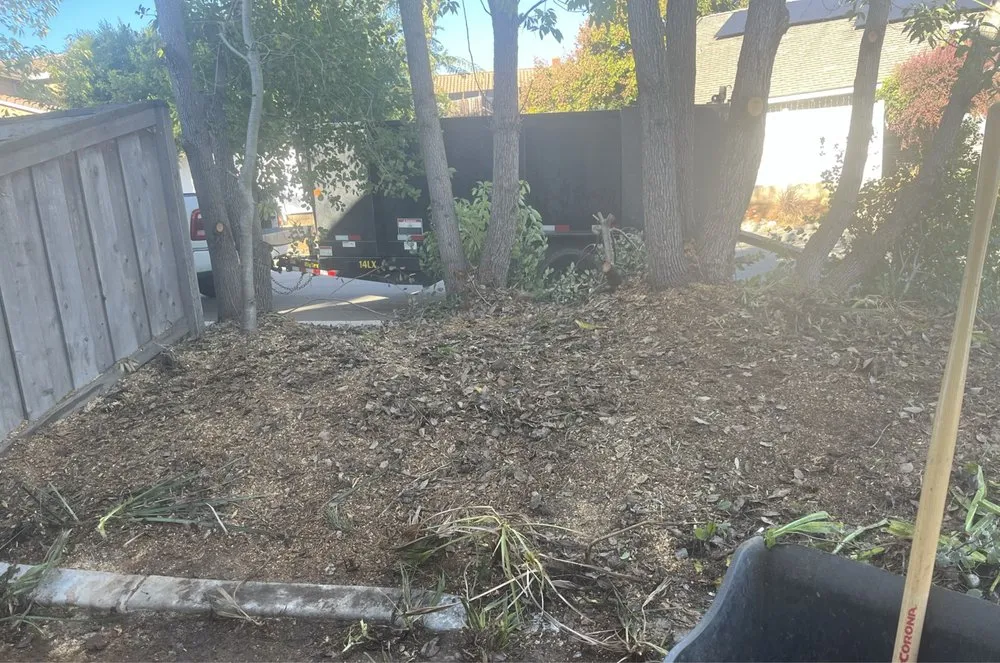 Professional landscape installation in Vista, CA by GM Landscaping & Tree Service