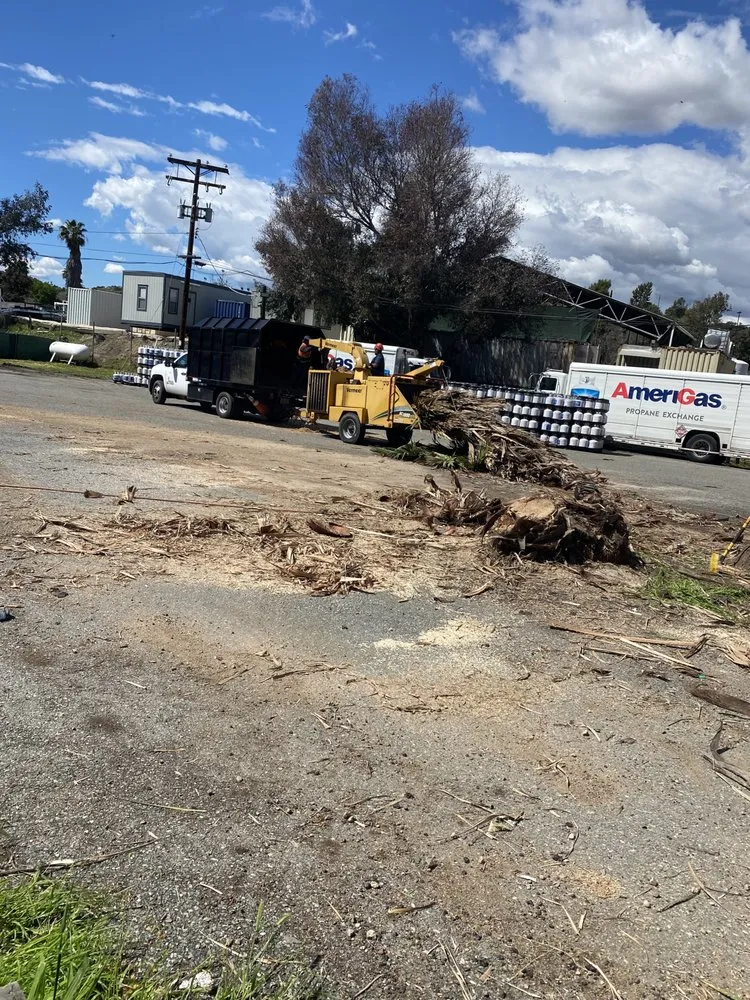Top-rated landscape installation for residential properties in Vista, CA by GM Landscaping & Tree Service