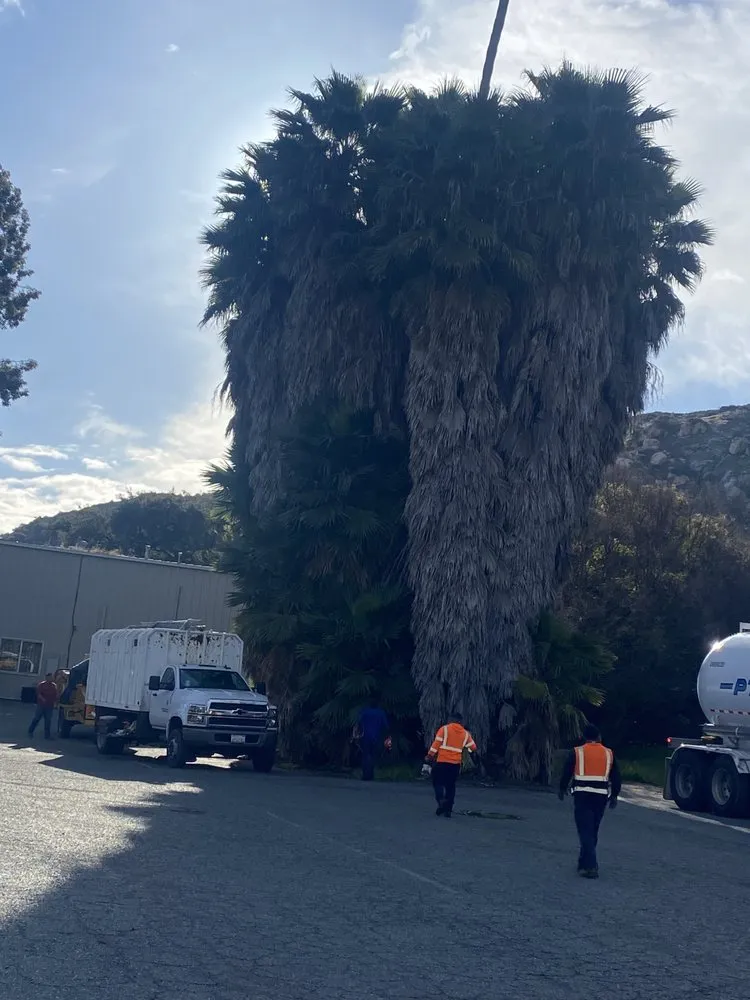 Top-rated residential landscaping experts serving Vista, CA - GM Landscaping & Tree Service