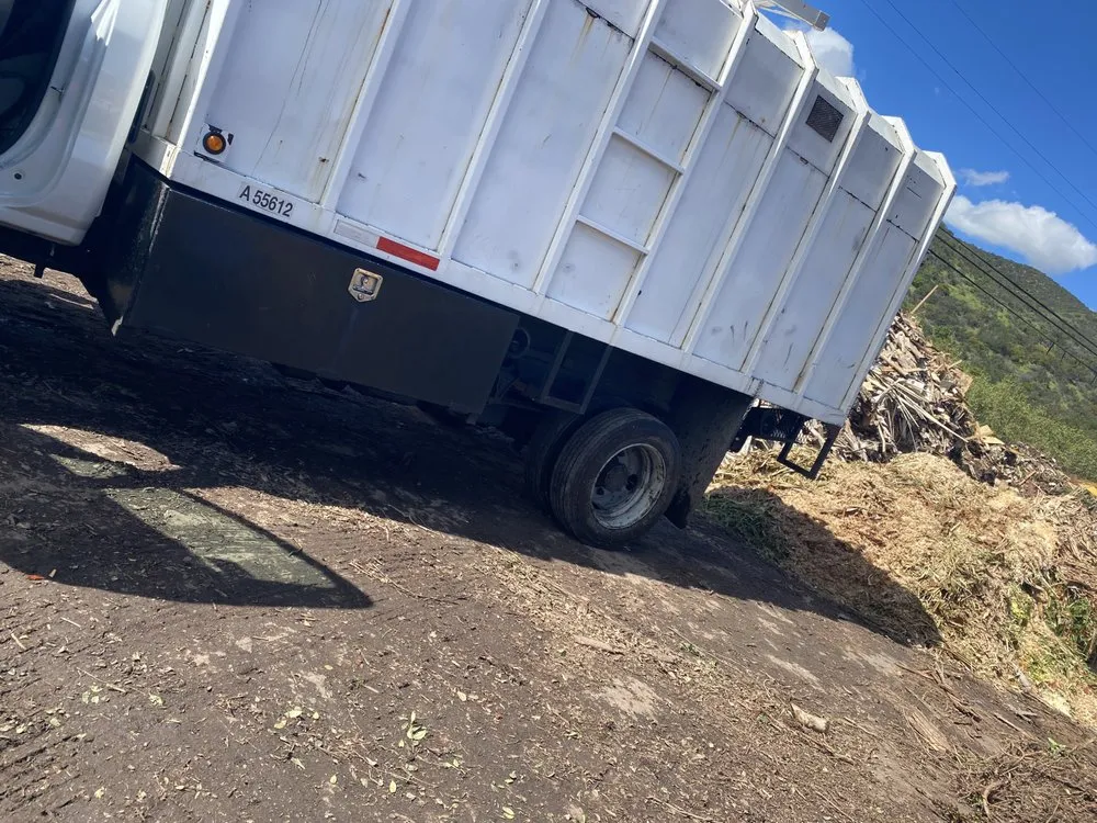 Trusted yard maintenance experts serving Vista, CA - GM Landscaping & Tree Service