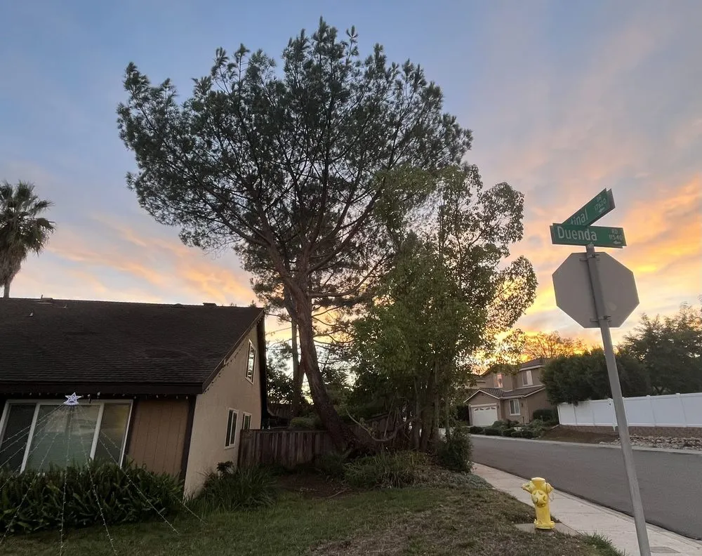 Affordable lawn mowing service in Vista, CA - GM Landscaping & Tree Service