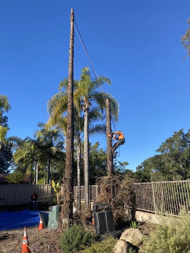 Affordable landscape installation experts serving Vista, CA - GM Landscaping & Tree Service