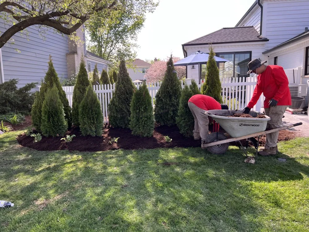 Affordable lawn care service in Lockport, IL by Gm Landscaping and Snow Removal