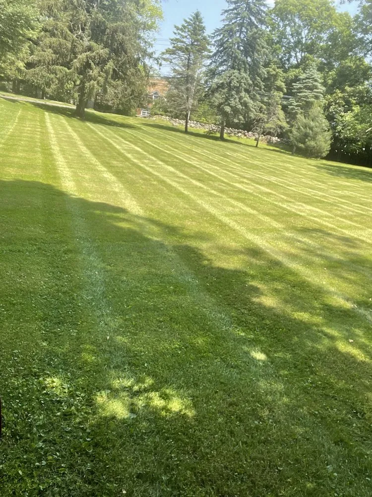 Reliable yard maintenance in Danbury, CT - G&M Landscaping