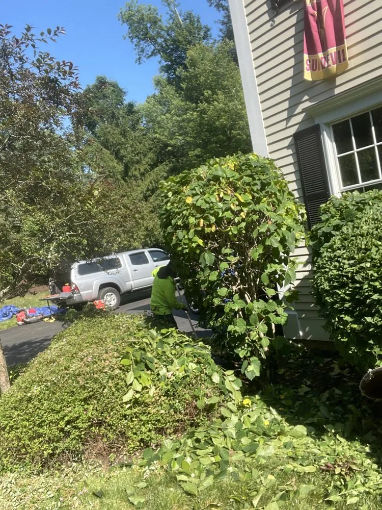 Local landscape design in Danbury, CT - G&M Landscaping