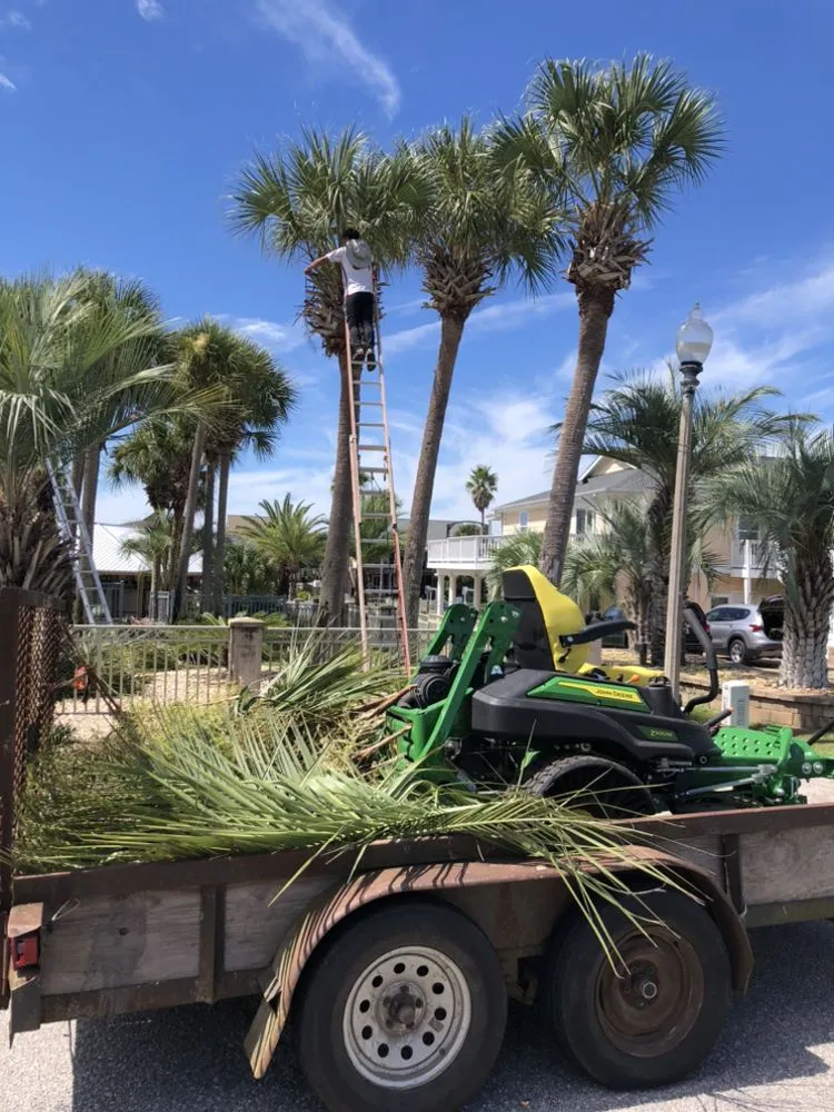 Trusted residential landscaping experts serving Foley, AL - G&M Landscaping