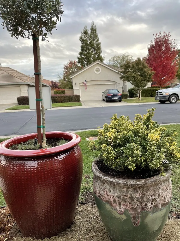 Affordable garden landscaping with custom design across Orangevale, CA - GM Landscaping