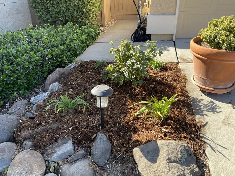 Expert yard cleanup service near you across Orangevale, CA - GM Landscaping