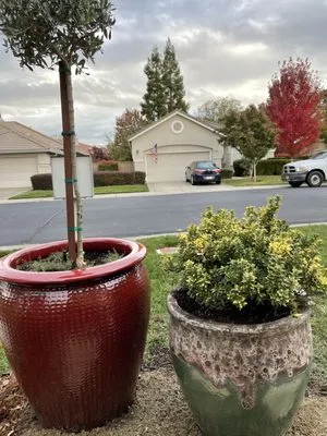 GM Landscaping Logo