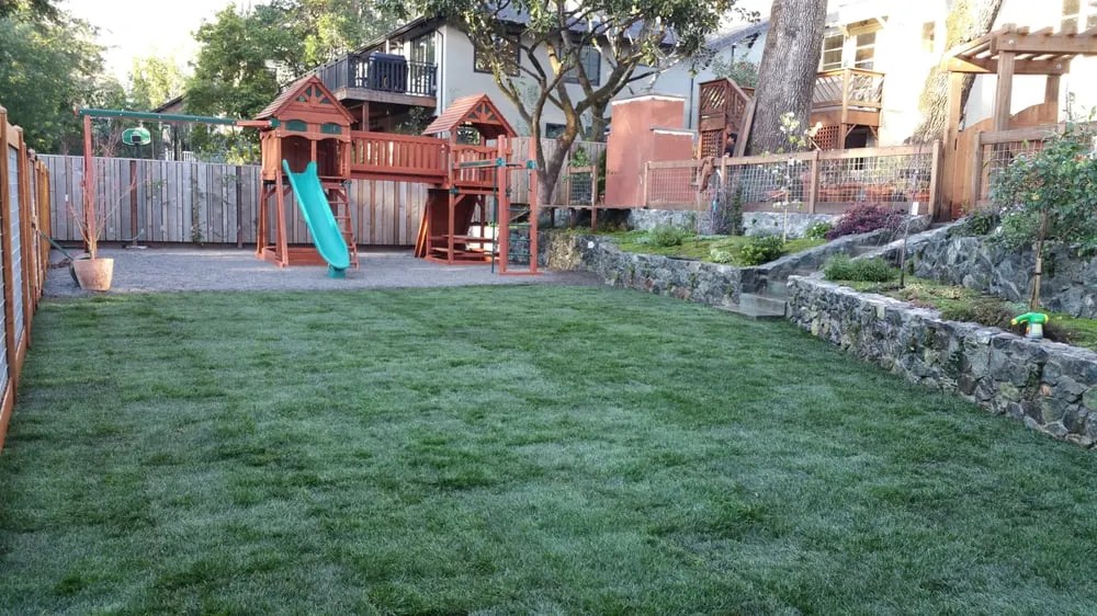 Reliable garden landscaping experts serving San Rafael, CA - GM Landscaping Services