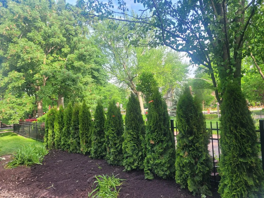 Top-rated residential landscaping for homes in Summit, IL by Gm Landscaping Services