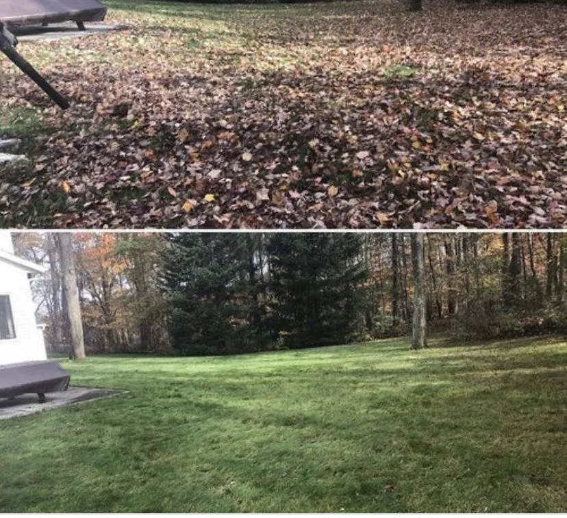 Local residential landscaping experts serving Streamwood, IL - G&M Landscaping