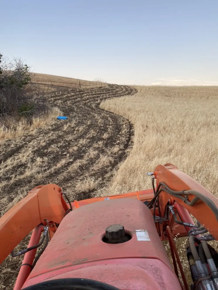 Trusted yard maintenance in Vacaville, CA by GM Landworx
