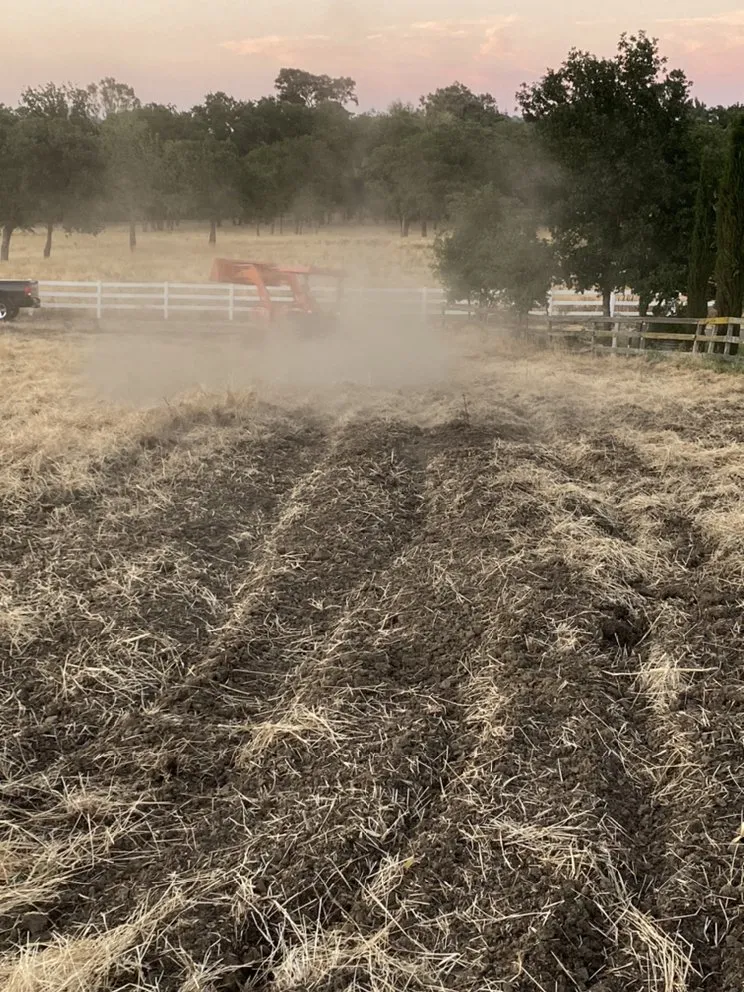 Top-rated outdoor landscaping for year-round maintenance across Vacaville, CA - GM Landworx