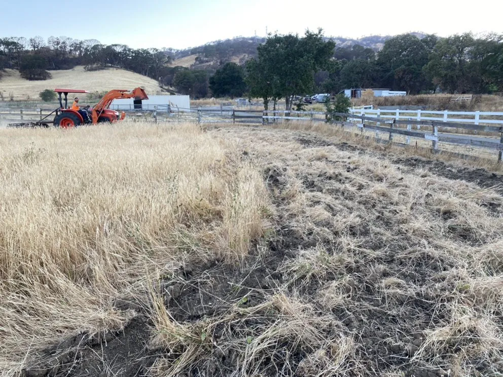Custom yard maintenance for residential properties in Vacaville, CA by GM Landworx