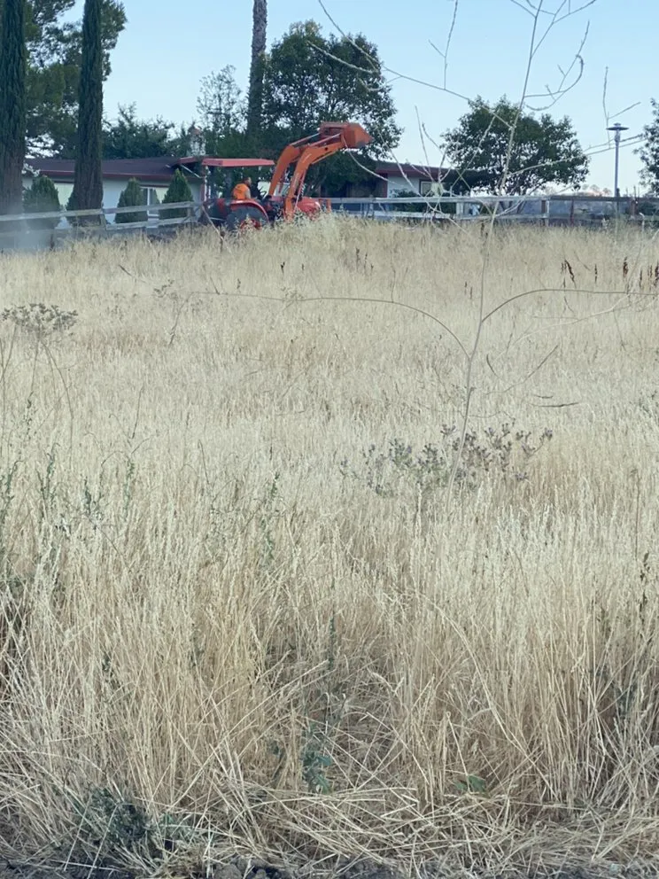 Expert yard cleanup service for year-round maintenance in Vacaville, CA by GM Landworx