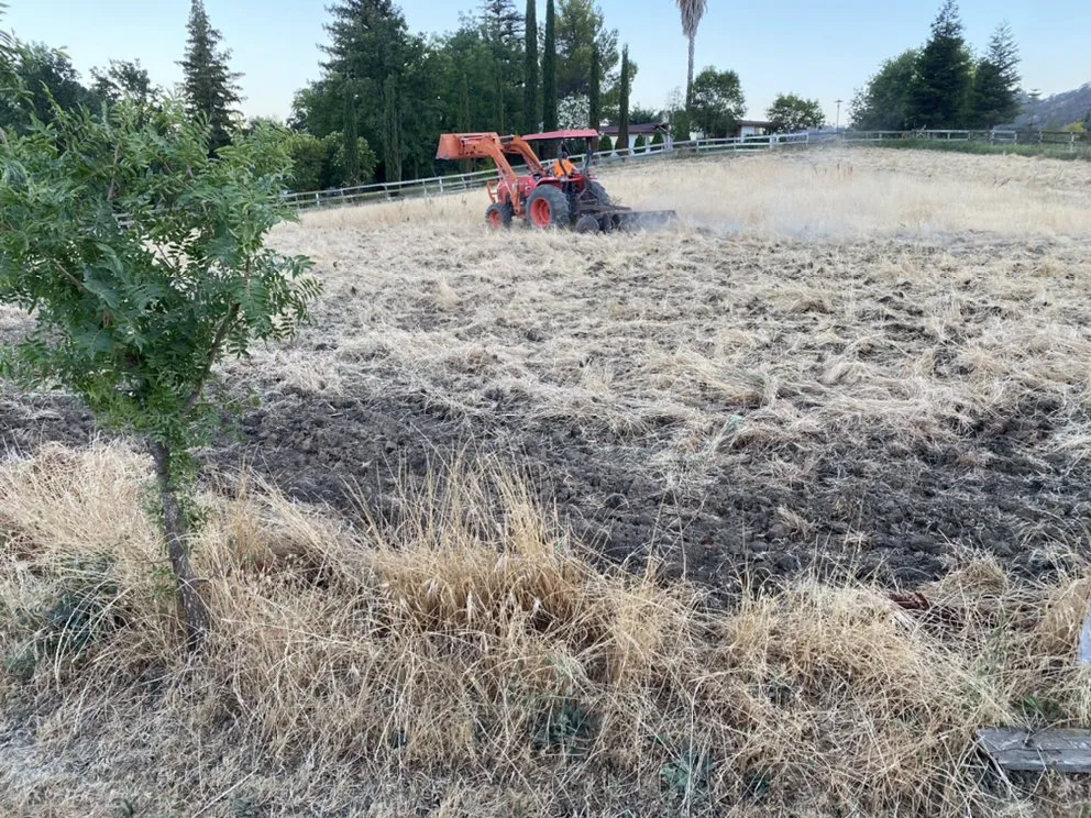 Affordable yard cleanup service for outdoor upgrades in Vacaville, CA by GM Landworx