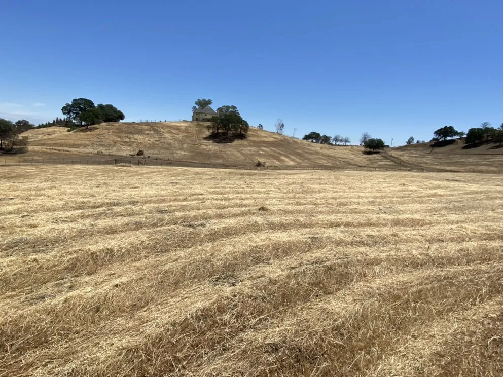 Local yard maintenance for residential properties across Vacaville, CA - GM Landworx