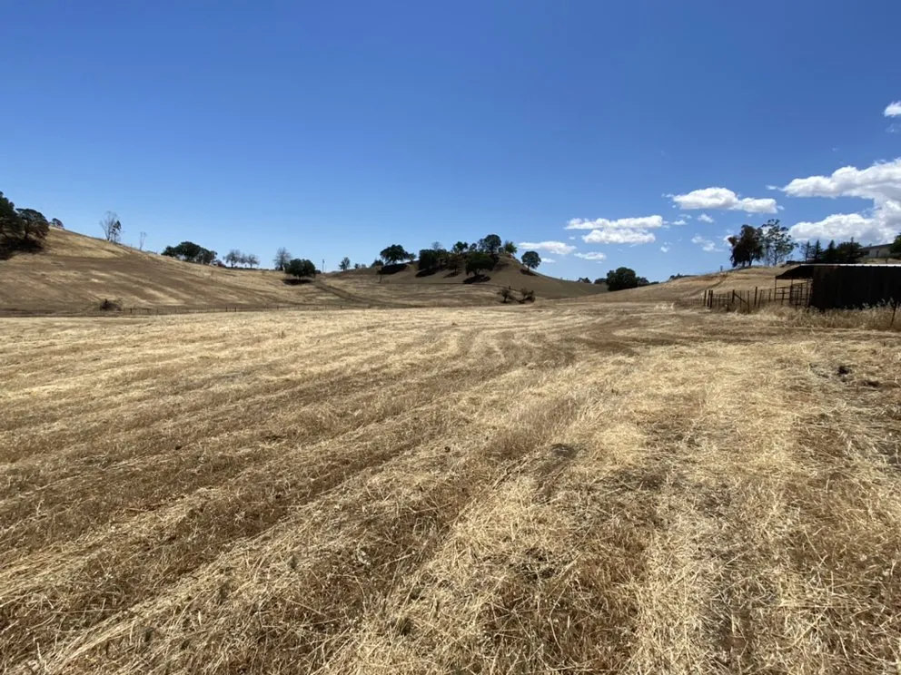 Reliable landscape design in Vacaville, CA - GM Landworx