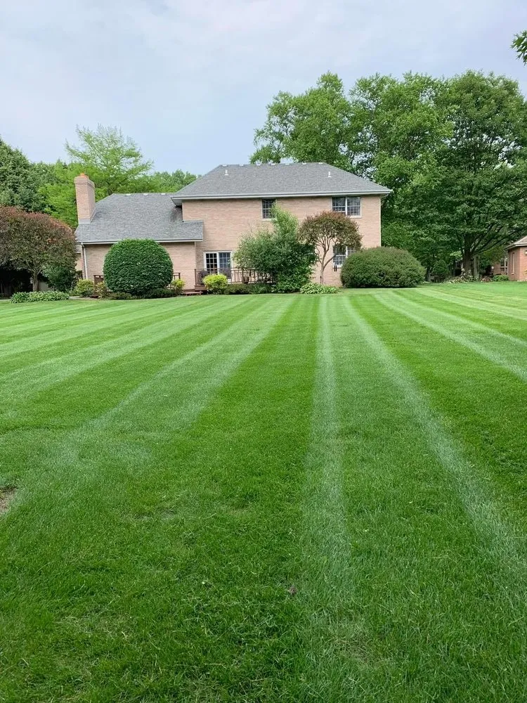Professional yard cleanup service in Hammond, IN by GM Lawn & Landscaping