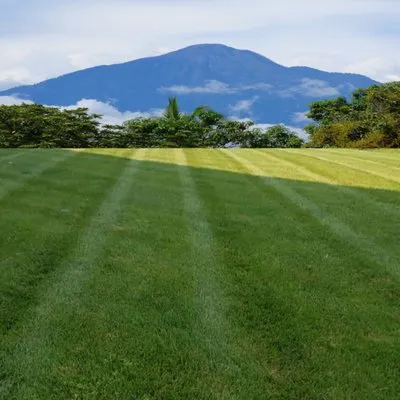 G&M Lawn Care Service Logo