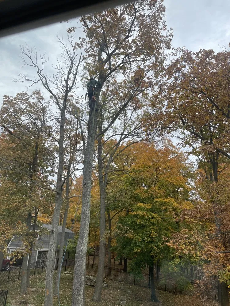 Top-rated landscape design with custom design in Shrewsbury, PA by G&M Lawncare & Maintenance