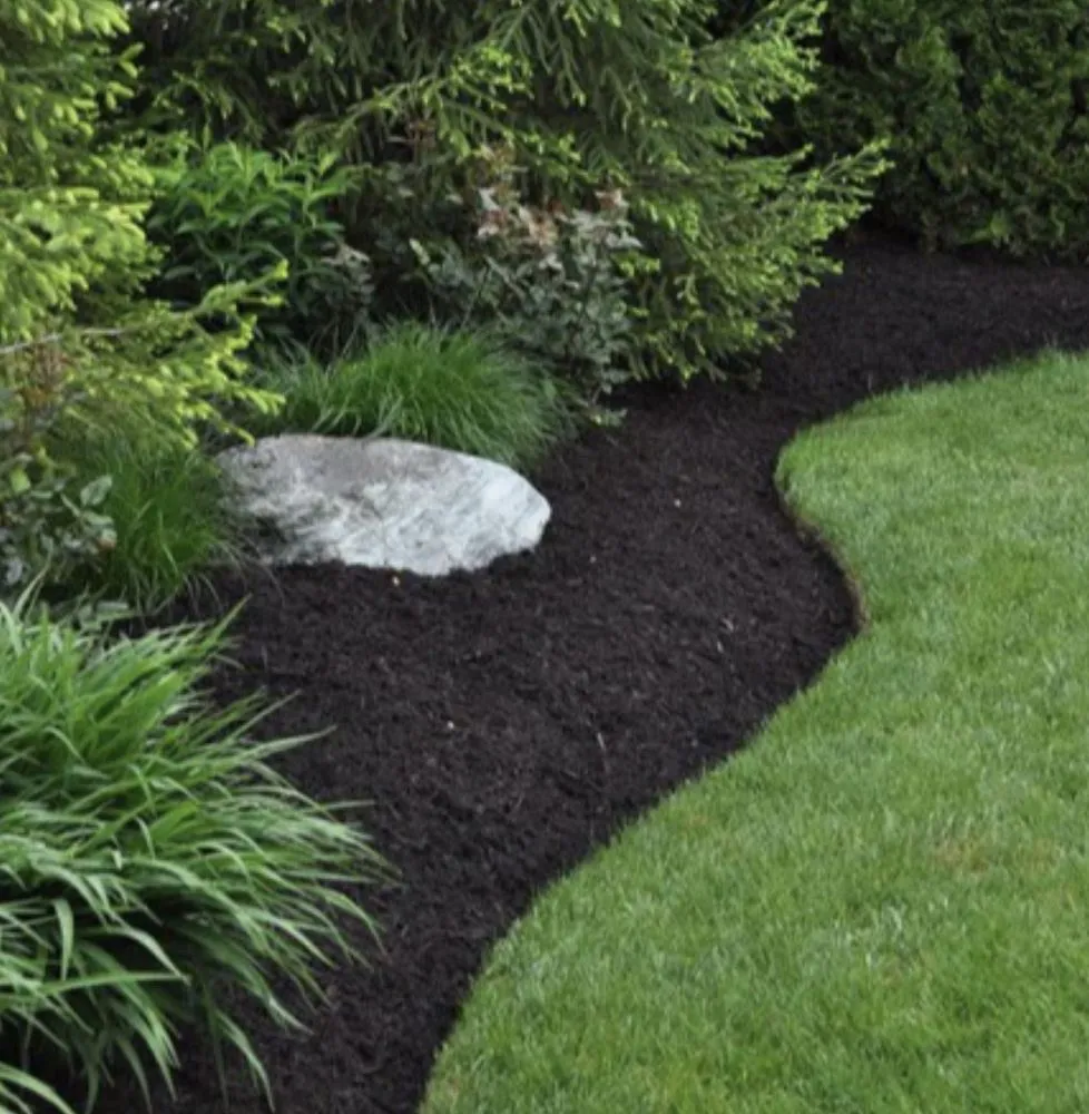 Professional yard cleanup service for residential properties across Urbana, OH - GM Lawncare
